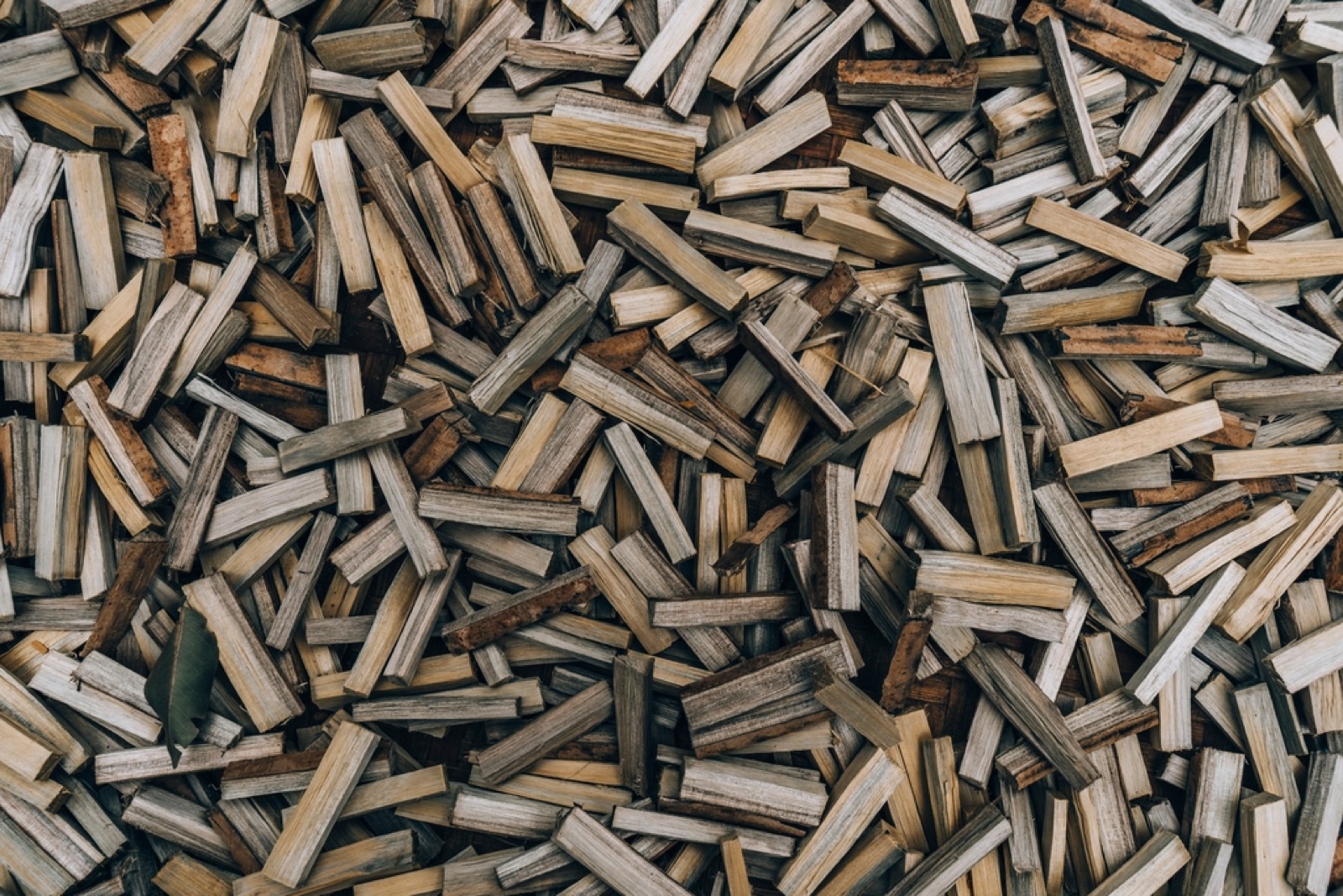 Biomass Energy: A Green Alternative