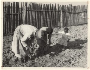 Ecofeminism: How Women Are Leading Environmental Activism
