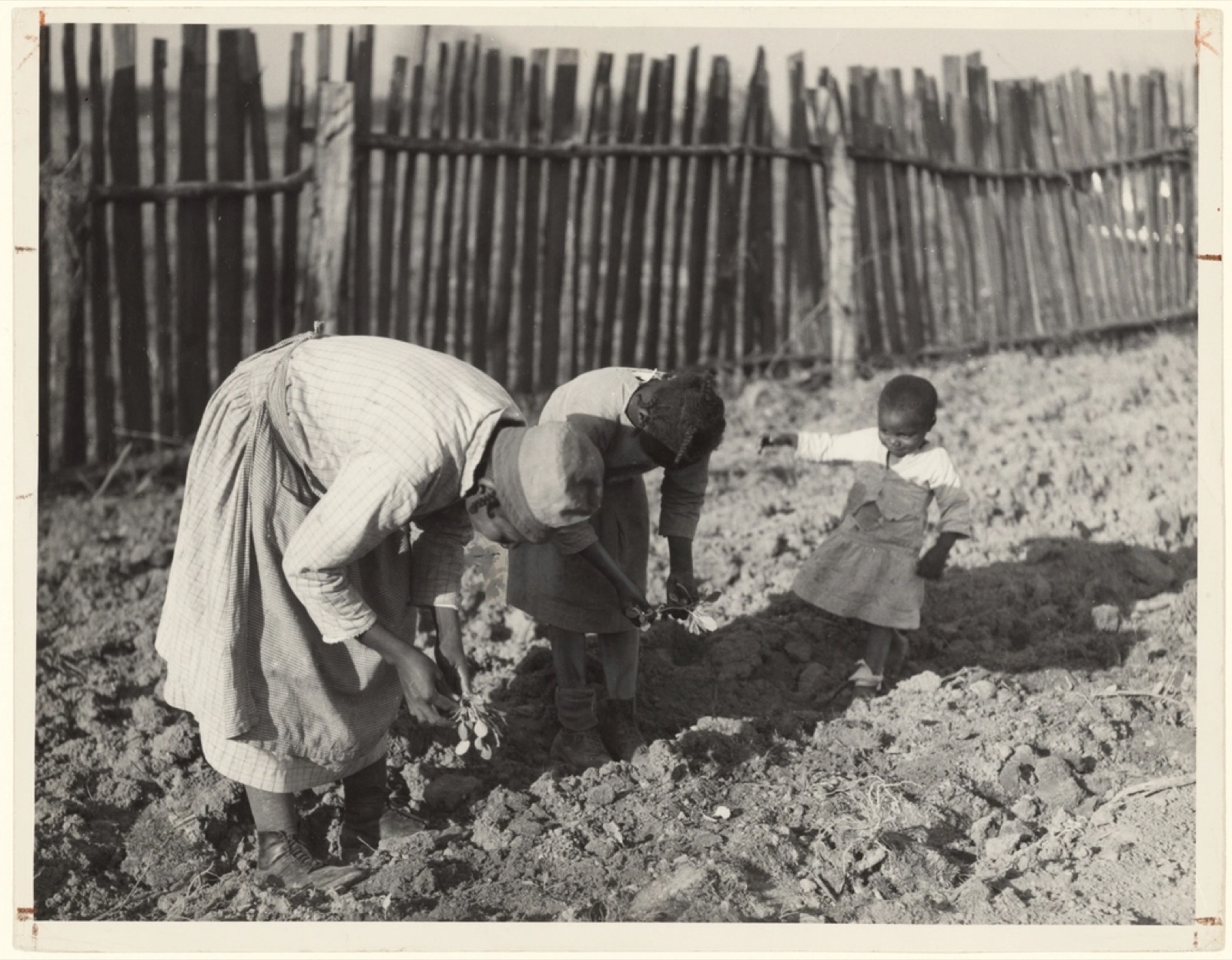 Ecofeminism: How Women Are Leading Environmental Activism
