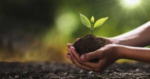 Strategies to Reduce Your Carbon Footprint