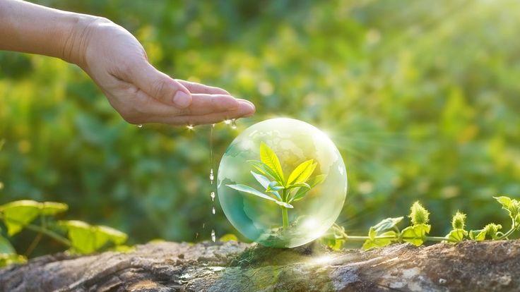 Strategies to Reduce Your Carbon Footprint